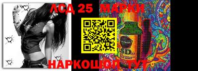 индика Камышлов