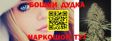 индика Камышлов