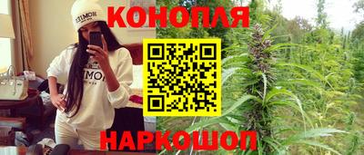 индика Камышлов