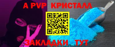 индика Камышлов