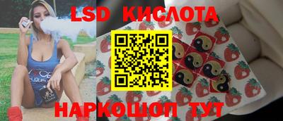 индика Камышлов