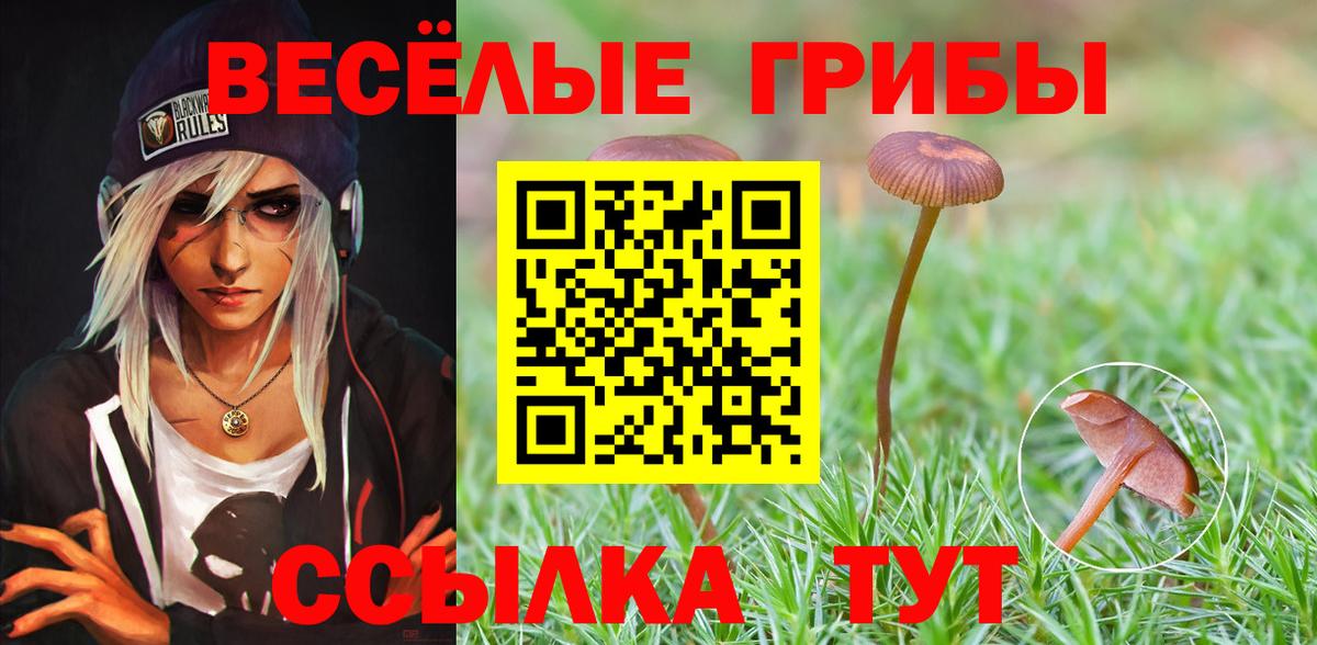 Великий Новгород  Псилоцибиновые грибы ЛСД  Вход с VPN 